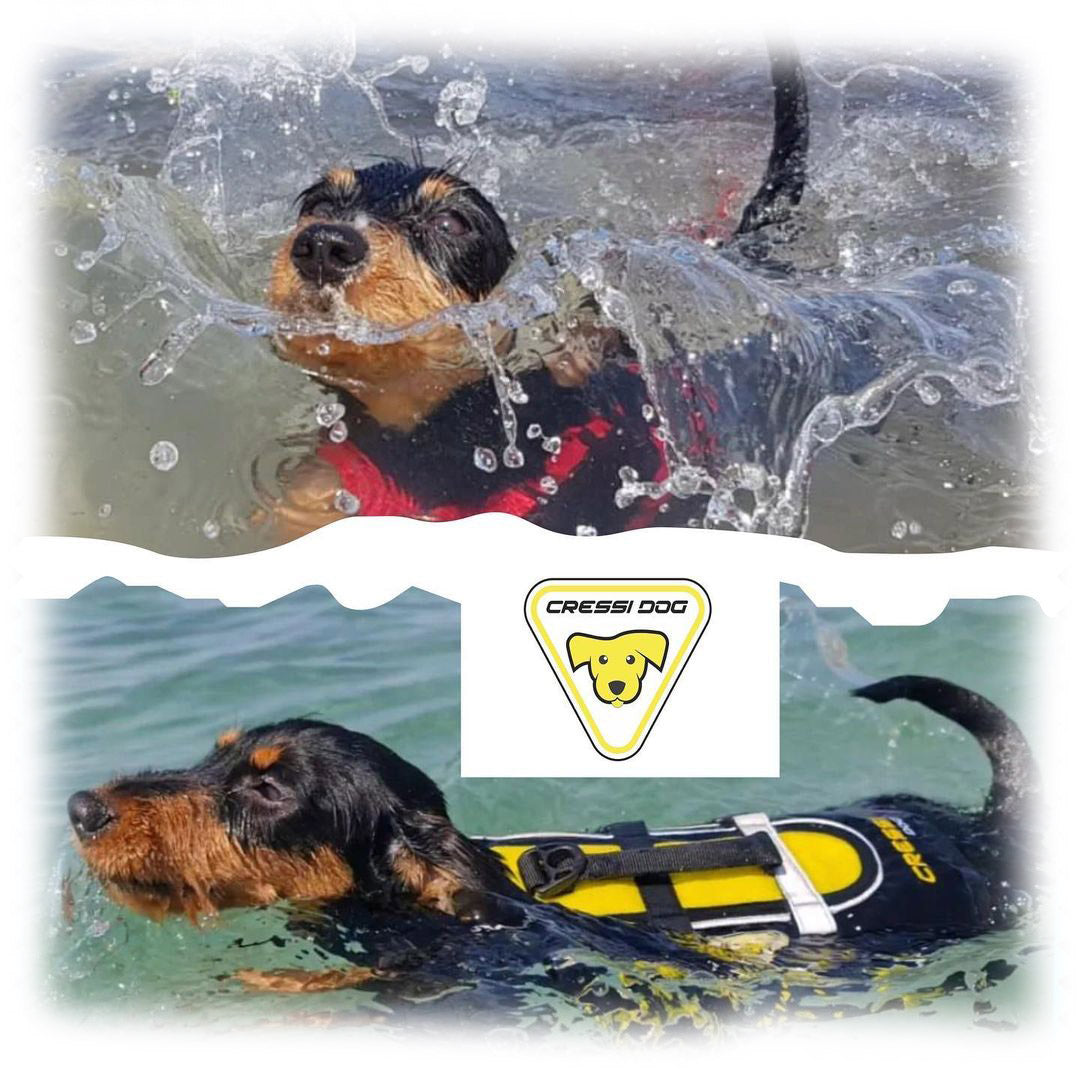 Cressi Premium Dog Life Jacket Infinity Dive