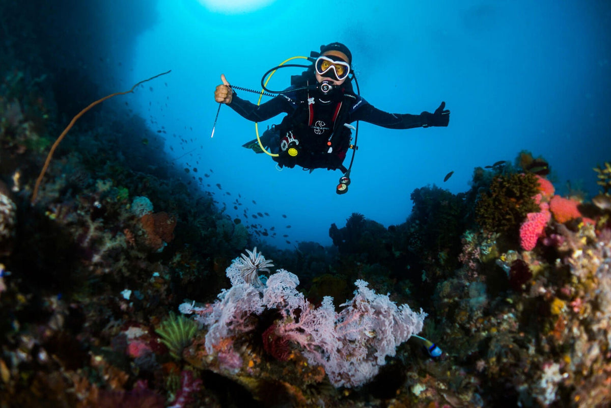 Fun Dive - Infinity DiveFun DiveInfinityDive