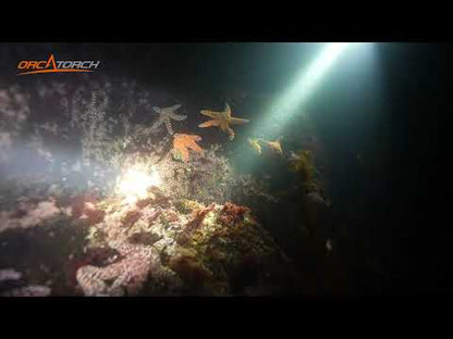 OrcaTorch D570-GL 激光潜水灯