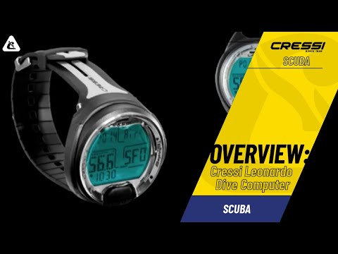Cressi Manta Professional Dive Watch | DIPNDIVE
