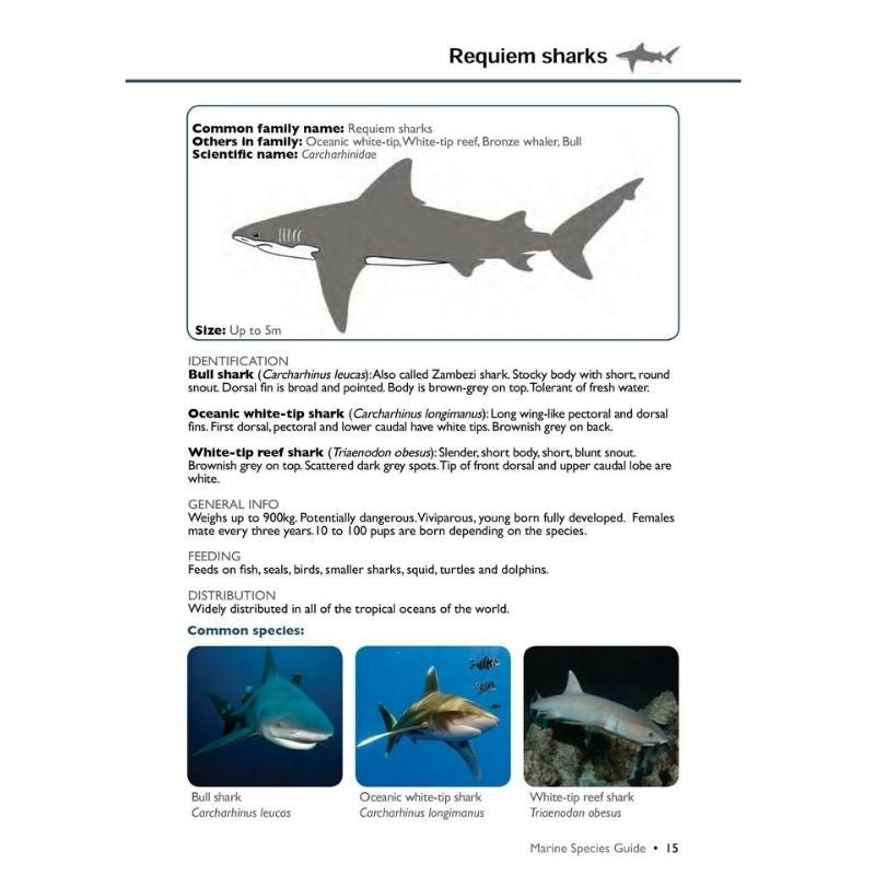 Marine Species Guide - Infinity DiveMarine Species Guideozdiver