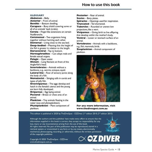 Marine Species Guide - Infinity DiveMarine Species Guideozdiver