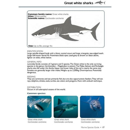 Marine Species Guide - Infinity DiveMarine Species Guideozdiver