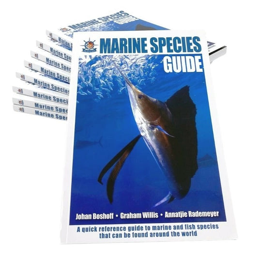 Marine Species Guide - Infinity DiveMarine Species Guideozdiver