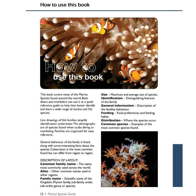 Marine Species Guide - Infinity DiveMarine Species Guideozdiver