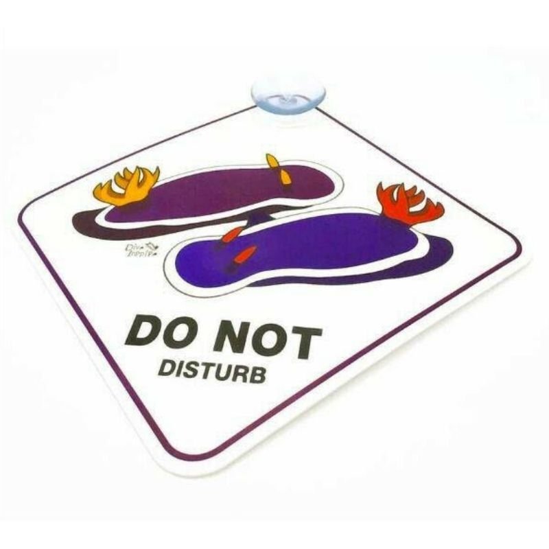 Scuba Diver Window Sign/ Nudibranch - Infinity DiveScuba Diver Window Sign/ NudibranchDive Inspire