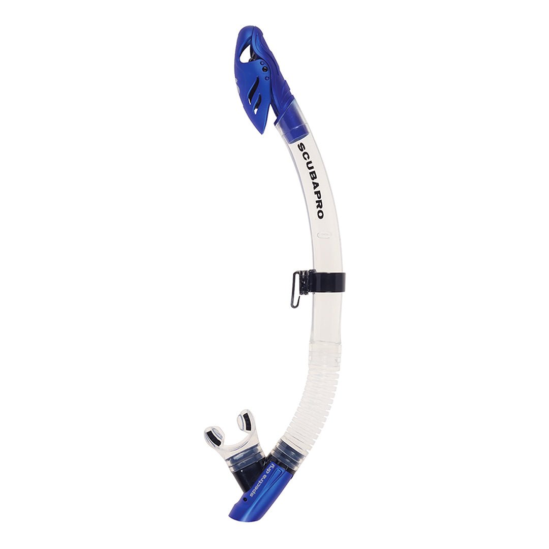 Scubapro Synergy Twin W Spectra Dry Set Clear/Blue - Infinity DiveScubapro Synergy Twin W Spectra Dry Set Clear/BlueScubapro