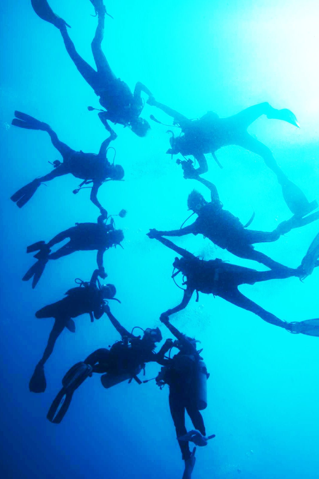 SDI Advanced Adventures Diver Course (Advanced Open Water) for Underwater Explorer Club Usyd - Infinity DiveSDI Advanced Adventures Diver Course (Advanced Open Water) for Underwater Explorer Club UsydInfinityDive