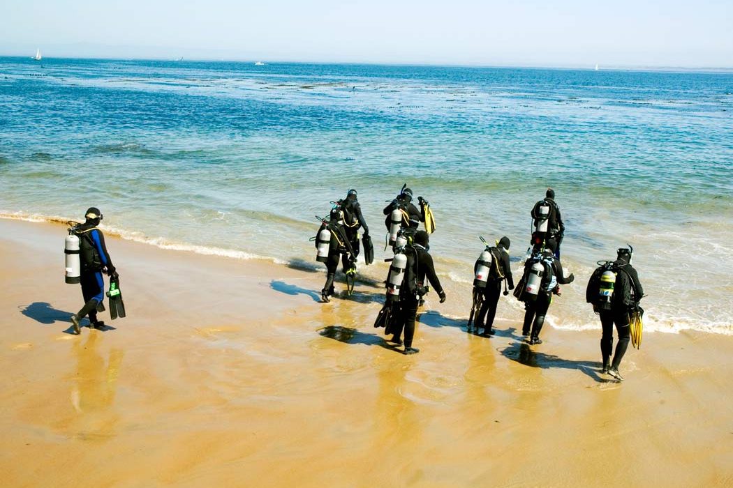 Sydney Shore Dive with Full Gear Voucher - Infinity DiveSydney Shore Dive with Full Gear VoucherInfinityDive